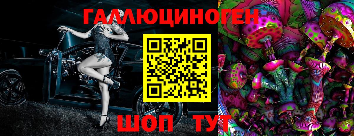 Псилоцибиновые грибы Psilocybe  Вход с VPN  Галлюциногенные грибы мухоморы  Гай 